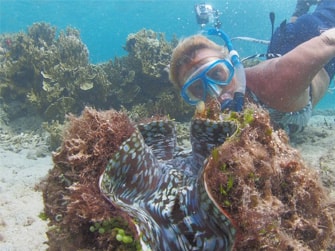 Uri-Marine-Reserve-Snorkelling-Tour-1